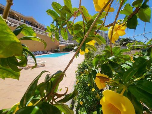 Apartamento Sol Y Mar Mog�n