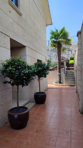Casa Fontes