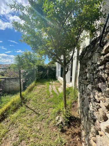 Casa Do Xab�n