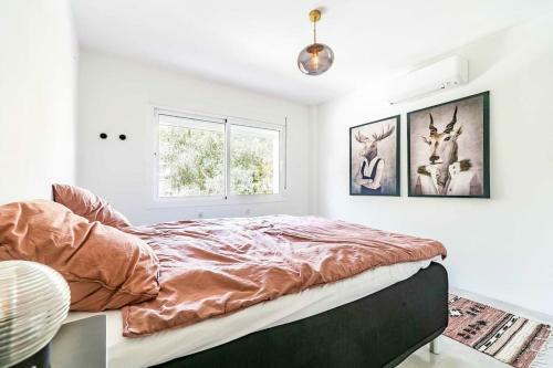 91-exclusive Modern Villa With Private Pool , Mijas