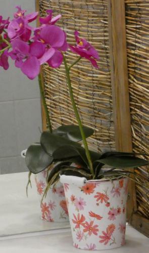Apartamento Playa Mijas