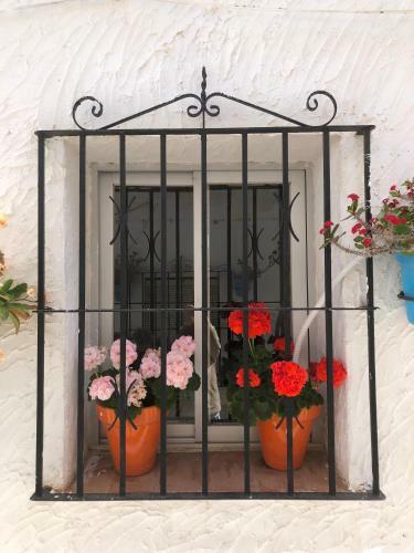 Apartamento Arya's Nest