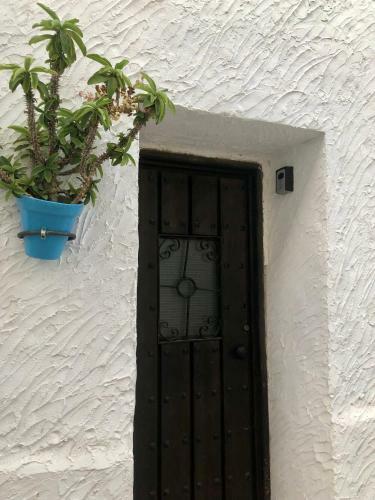 Apartamento Arya's Nest