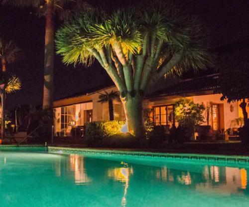 Villa Finca Lechuza