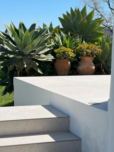 Villa Las Estrellas