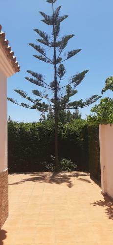 Apartamento Estrella Del Mar
