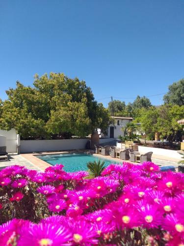 Bed & Breakfast El Violin Experiencia Adults Only