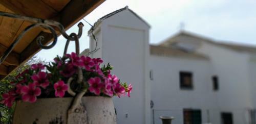 Bed & Breakfast El Violin Experiencia Adults Only