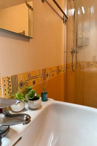 Apartamento El Rinc�n Acogedor
