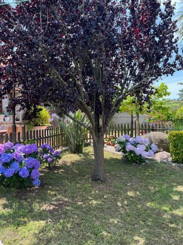 Apartamento Villa Regueiro Da Vila