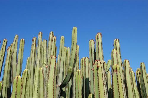 Salobre Villa 3 By Villagrancanaria