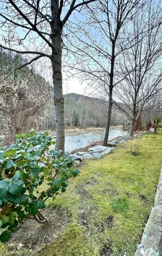 Apartamento Acogedor Alojamiento En Martinet, Cerdanya.