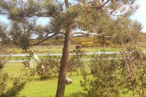 Hostal Herdade Monte Do Sol