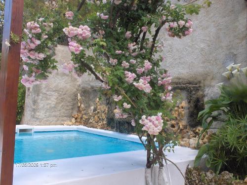 Apartamento Vila Libania
