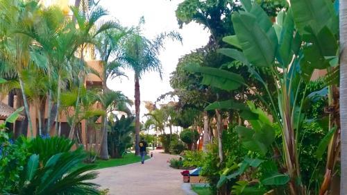Marbella - Alicate Beachfront Apartment-1