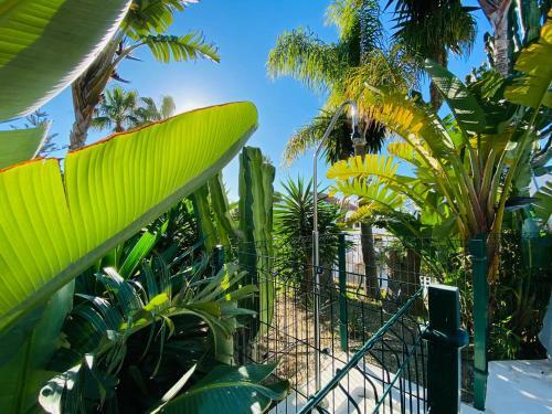 Apartamento Studio-near The Beach, Bbq And Seawater Pool