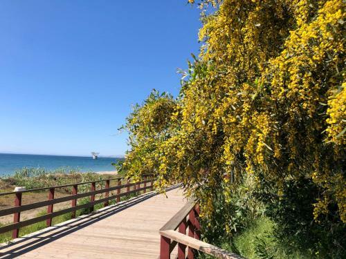 Apartamento Studio-near The Beach, Bbq And Seawater Pool