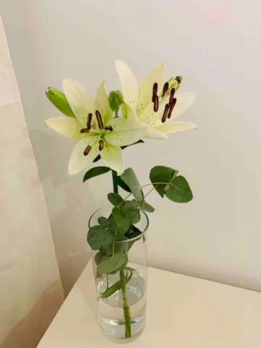 Apartamento Puerto Banus