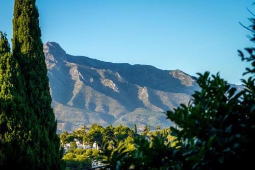 Marbella Banus Suites - Ceibo Centro Plaza Ban�s Suite Apartment