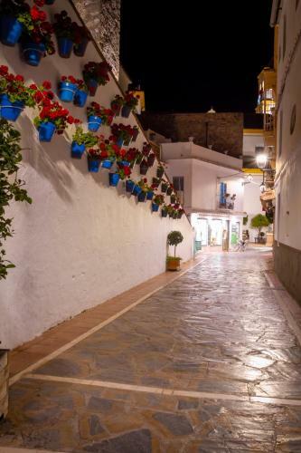 Marbella Banus Suites - Ceibo Centro Plaza Ban�s Suite Apartment