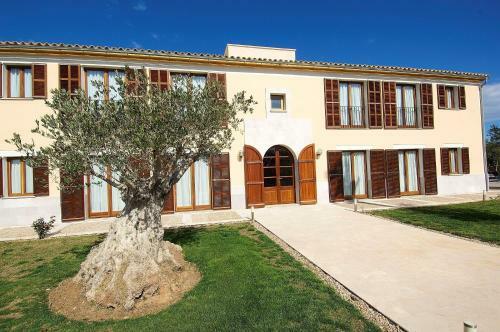 Villa Hort de Conies Romani 067 By Mallorca Charme