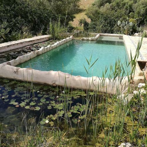 Son Vell. Mallorca. Casa Amb Piscina Ecol�gica.