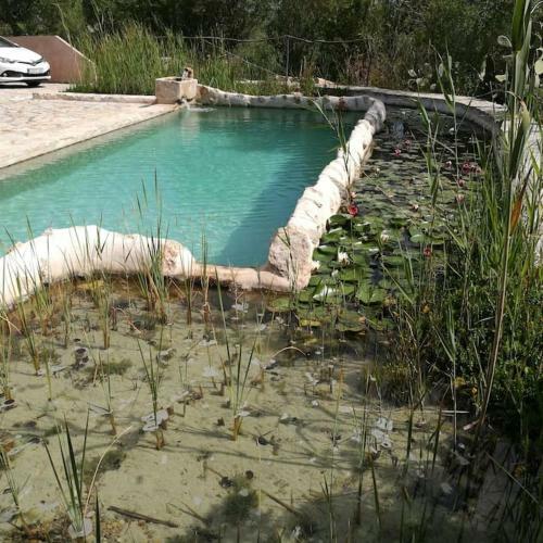 Son Vell. Mallorca. Casa Amb Piscina Ecol�gica.
