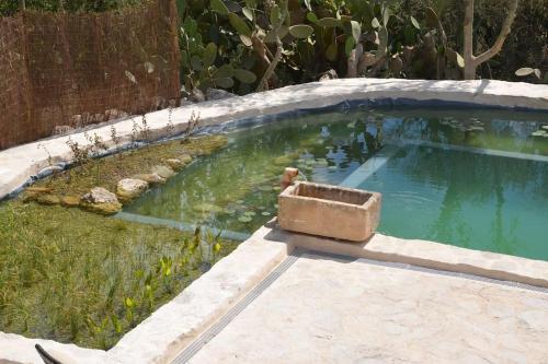 Son Vell. Mallorca. Casa Amb Piscina Ecol�gica.