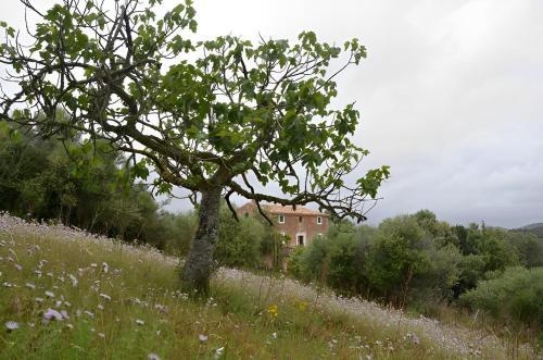 Son Vell. Mallorca. Casa Amb Piscina Ecol�gica.