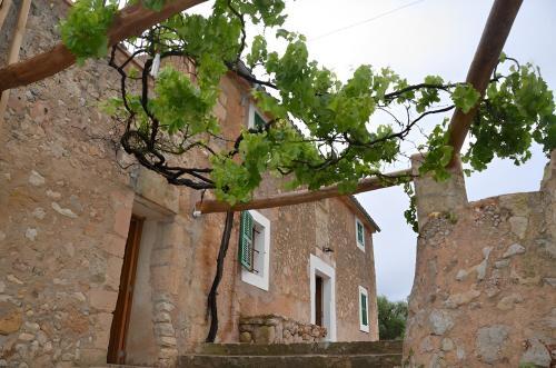 Son Vell. Mallorca. Casa Amb Piscina Ecol�gica.
