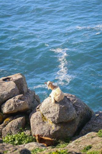 Apartamento Vento Nord�s