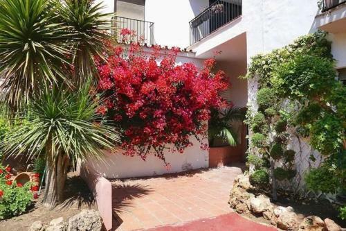 Caprichoso Apartamento En El Corazon de Puerto Banus