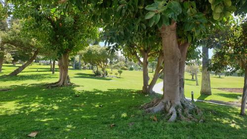 Apartamento Torres De Aloha 2 Bdr Puerto Banus