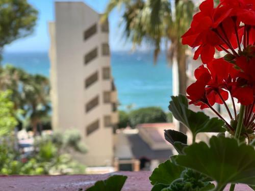 Apartamento Studio Second Line Of The Beach Center Sea View