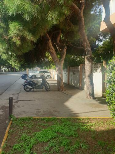 Apartamento Precioso Estudio Con Piscina A 200m Del Mar