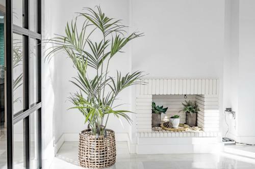 Apartamento Lnm76- Luxury Large Flat Close To Puerto Banus