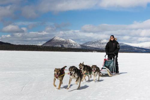 Hotel Inn On The Lake - Whitehorse
