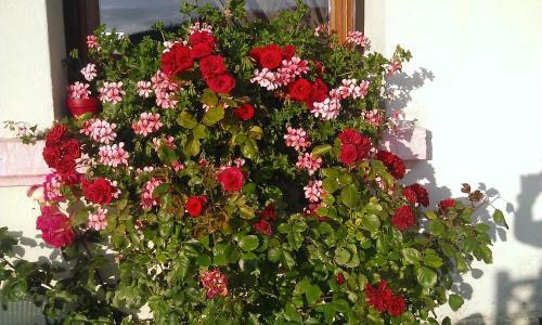 Hotel H�tel La Vall�e