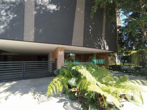 Hermoso Apartamento 1504