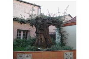 Inter-hotel La Reine Jeanne
