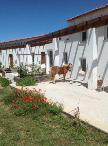 Hostal Quinta De Moledos