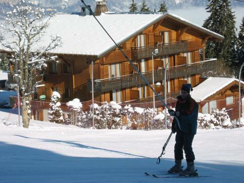 Apartamento Chalet Gabriel