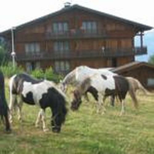 Apartamento Chalet Gabriel