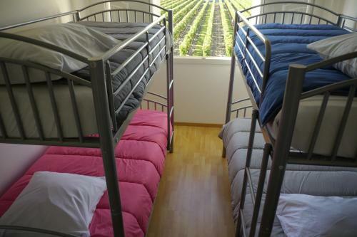 Villa La R�sidence "les Grands Vignobles"