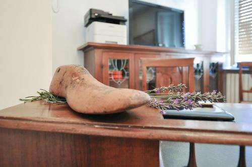 Hostal Giorgia Tassi Affittacamere
