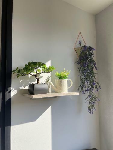 Apartamento Medell�n Laureles Aire Acondicionado
