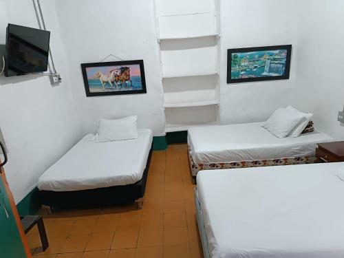 Hostal Jard�n-house