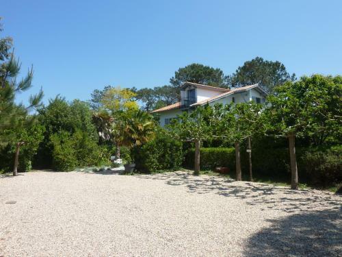 Hostal Maison Arbolateia
