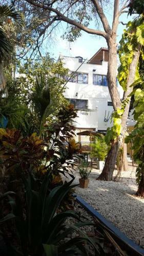 Casa Piscina-bar-sol�rium-bbq-hamacas-playa Cerca