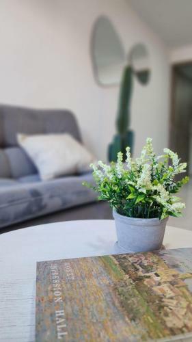 Apartaestudio De Lujo En Excelente Ubicaci�n